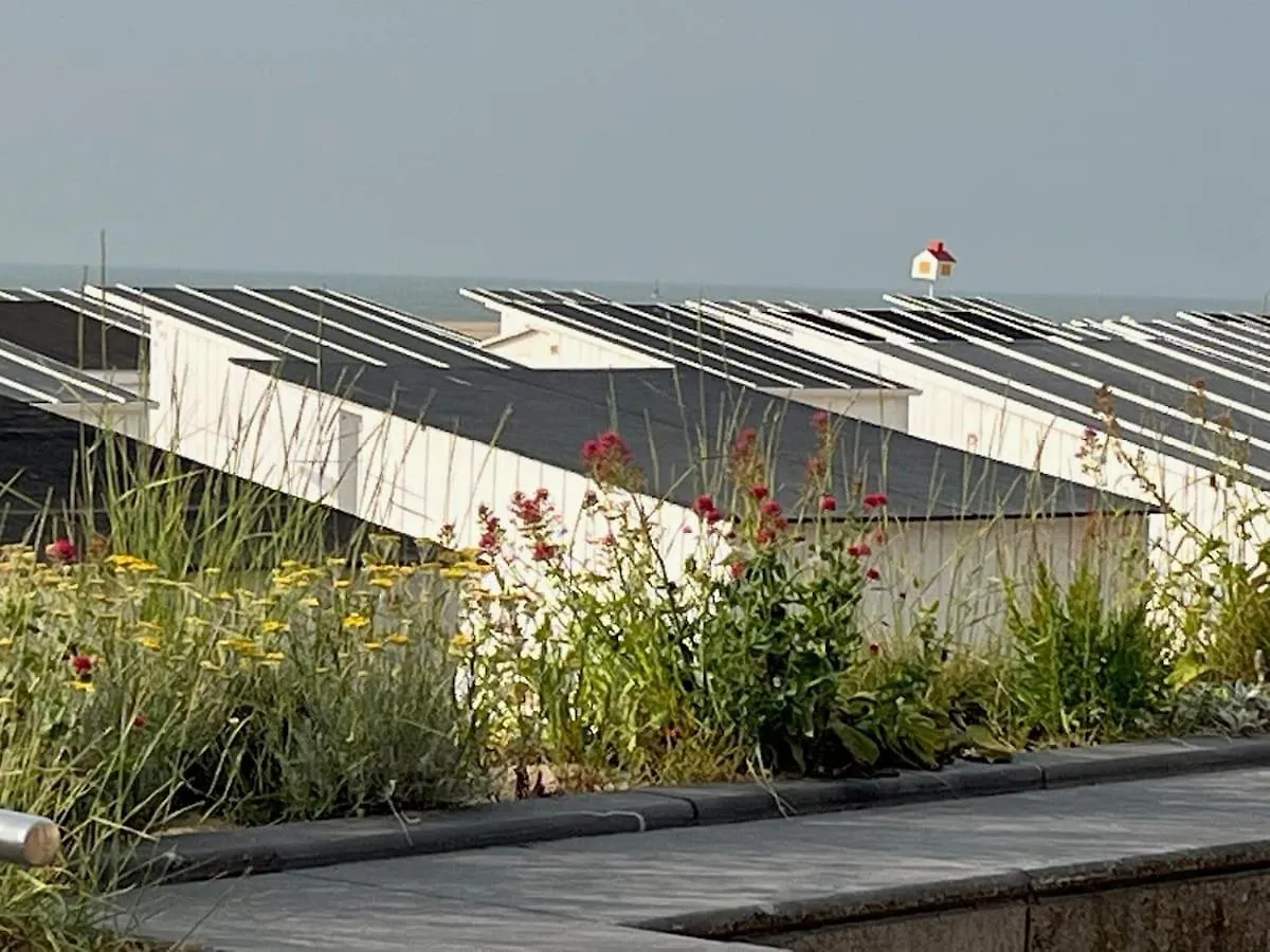 Apartment With Beautiful View, Private Parking And Two Large Terraces Oostende 0*,